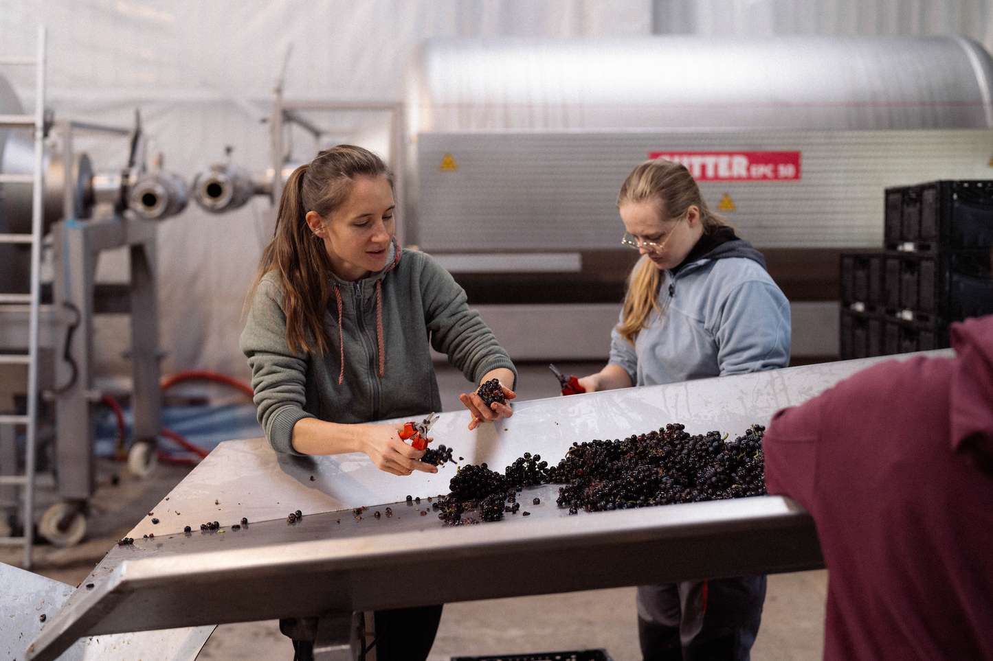 Domaine La Colombe