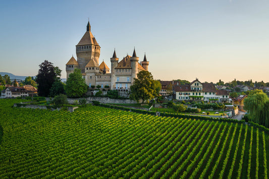 PEREY Vignerons-Encaveurs, Vufflens-le-Château et Echandens
