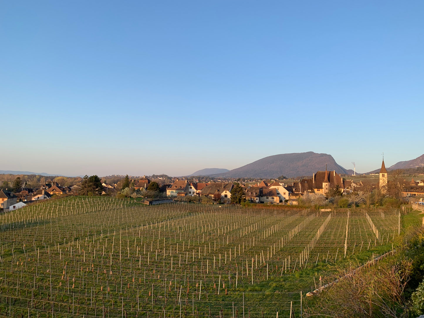 Domaine de Montmollin