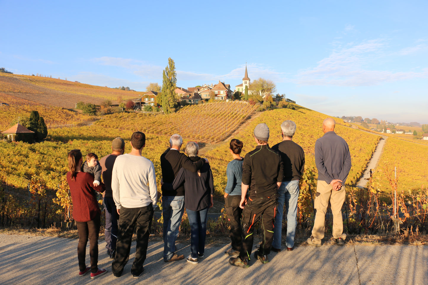 Domaine La Colombe