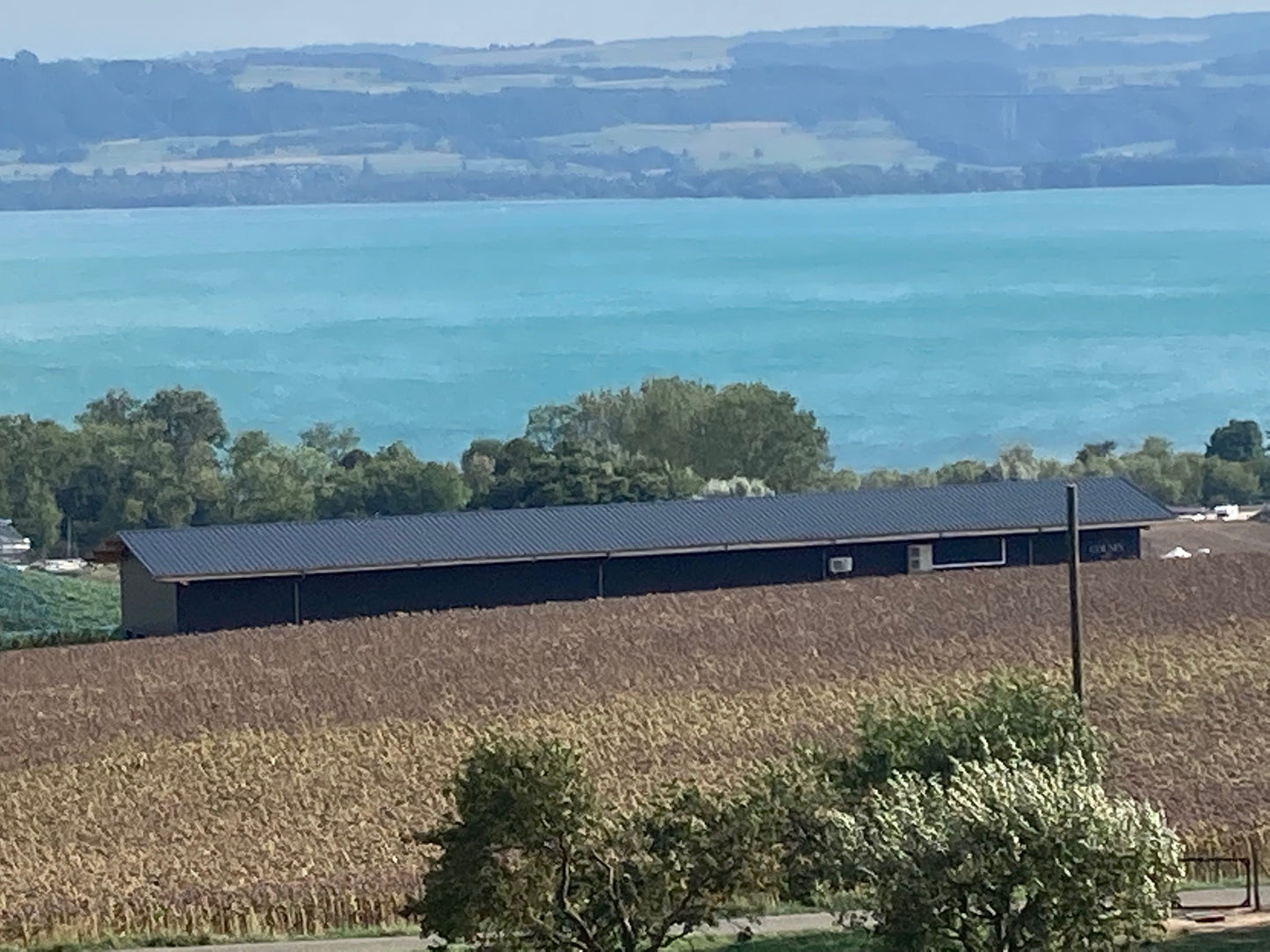 Vignoble Cousin