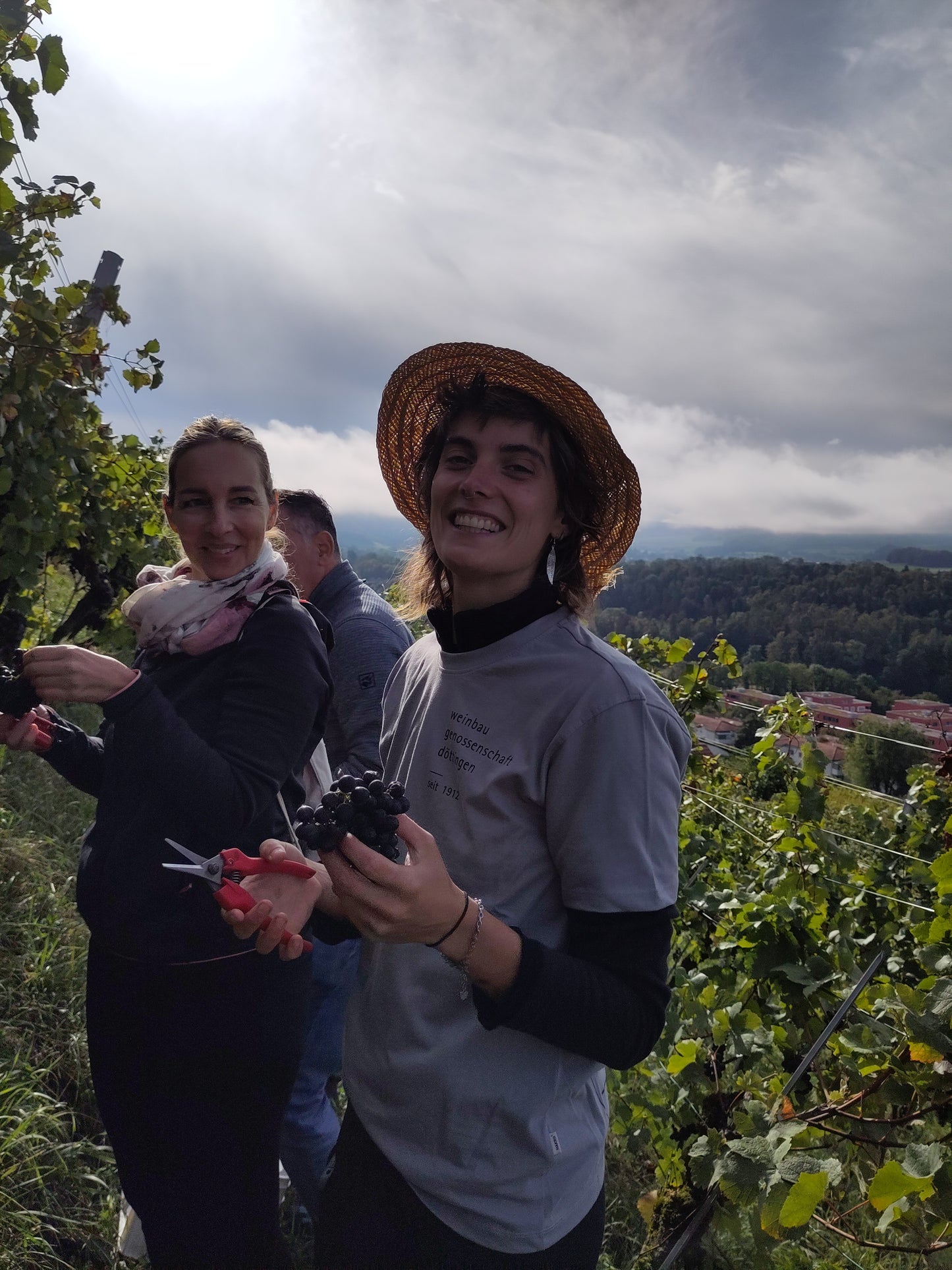 Weinbaugenossenschaft Döttingen