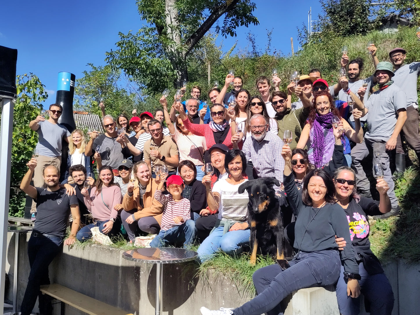 Weinbaugenossenschaft Döttingen