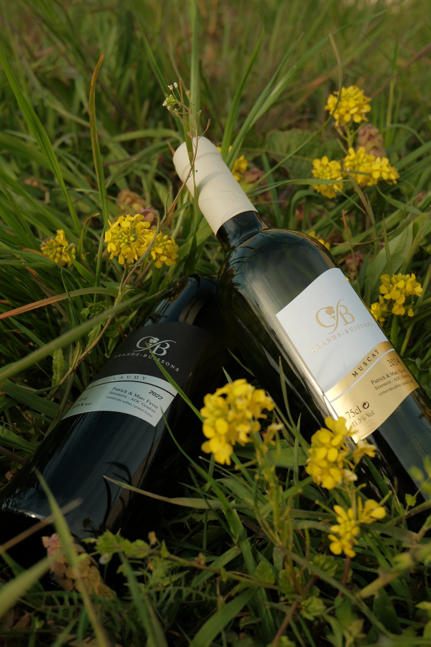 Domaine des Grands-Buissons