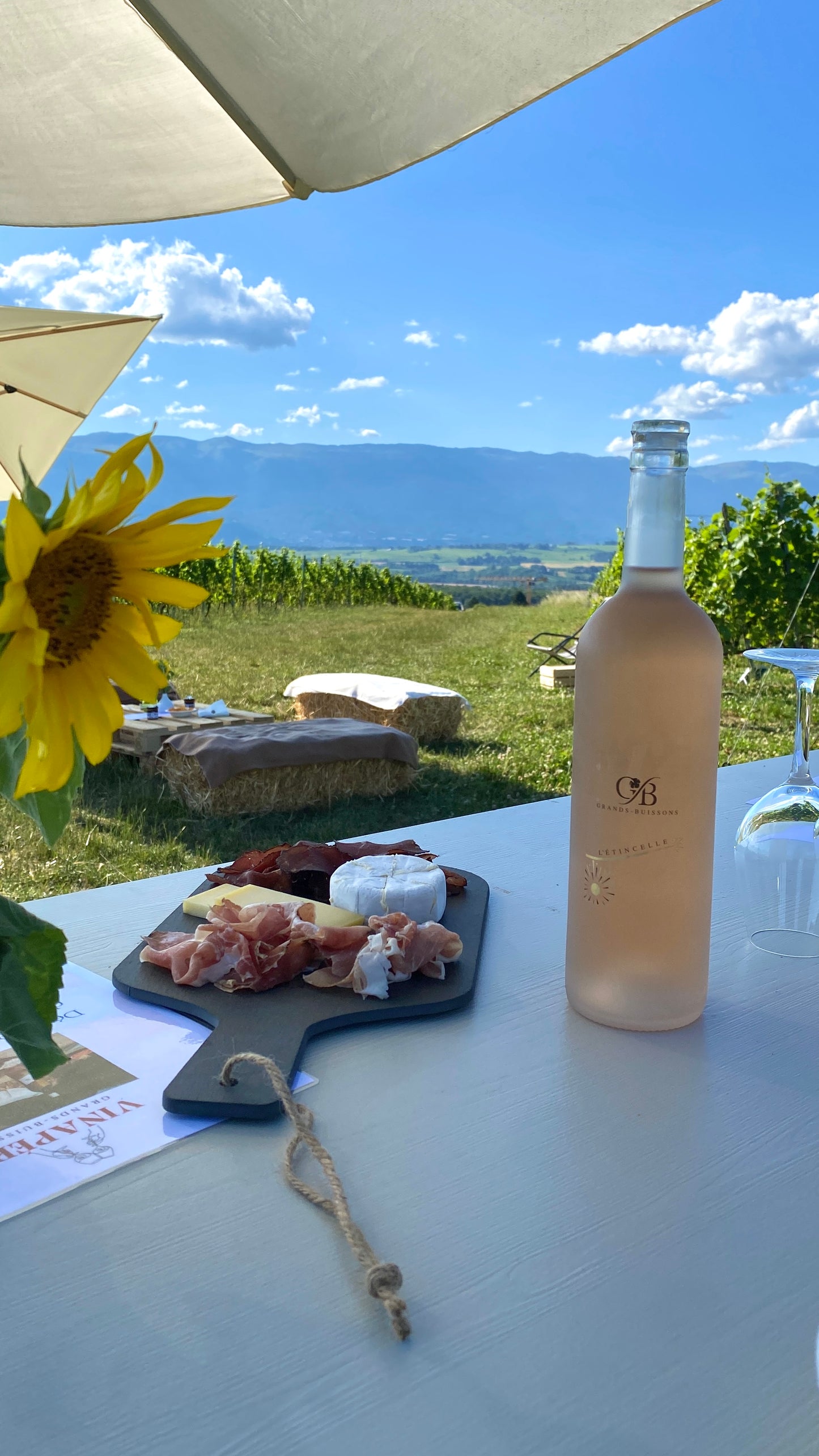 Domaine des Grands-Buissons