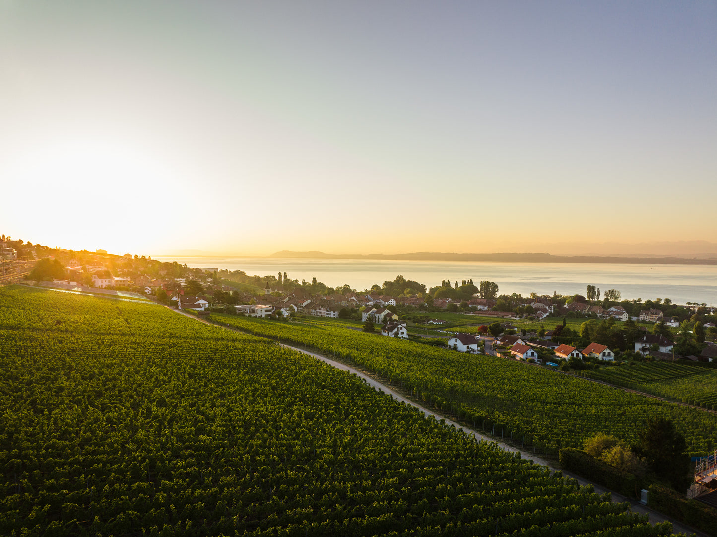 Domaine de Montmollin