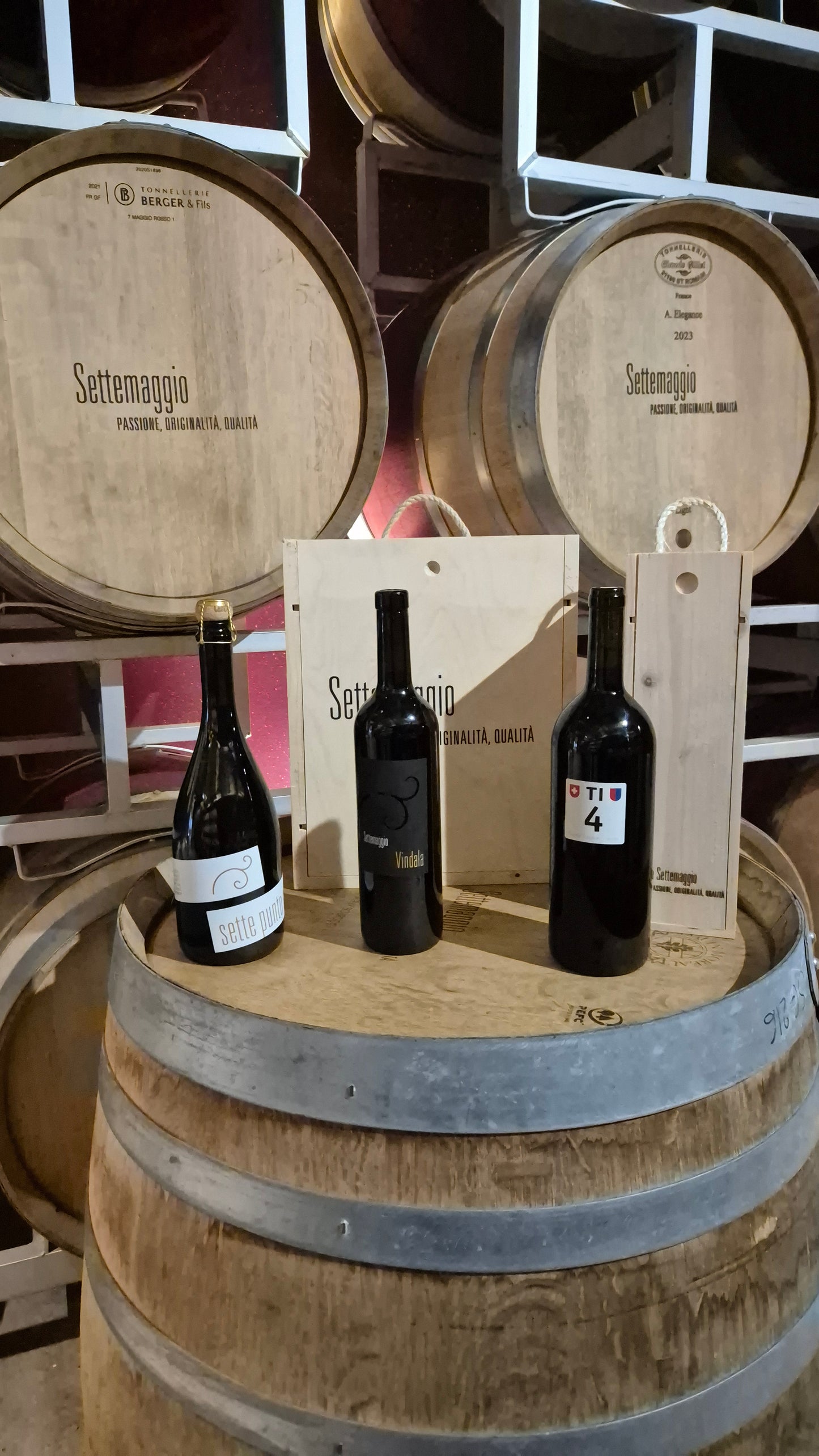 Cantina Settemaggio