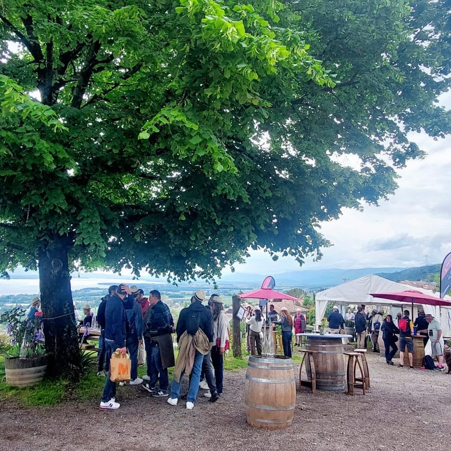 La Grande Vigne