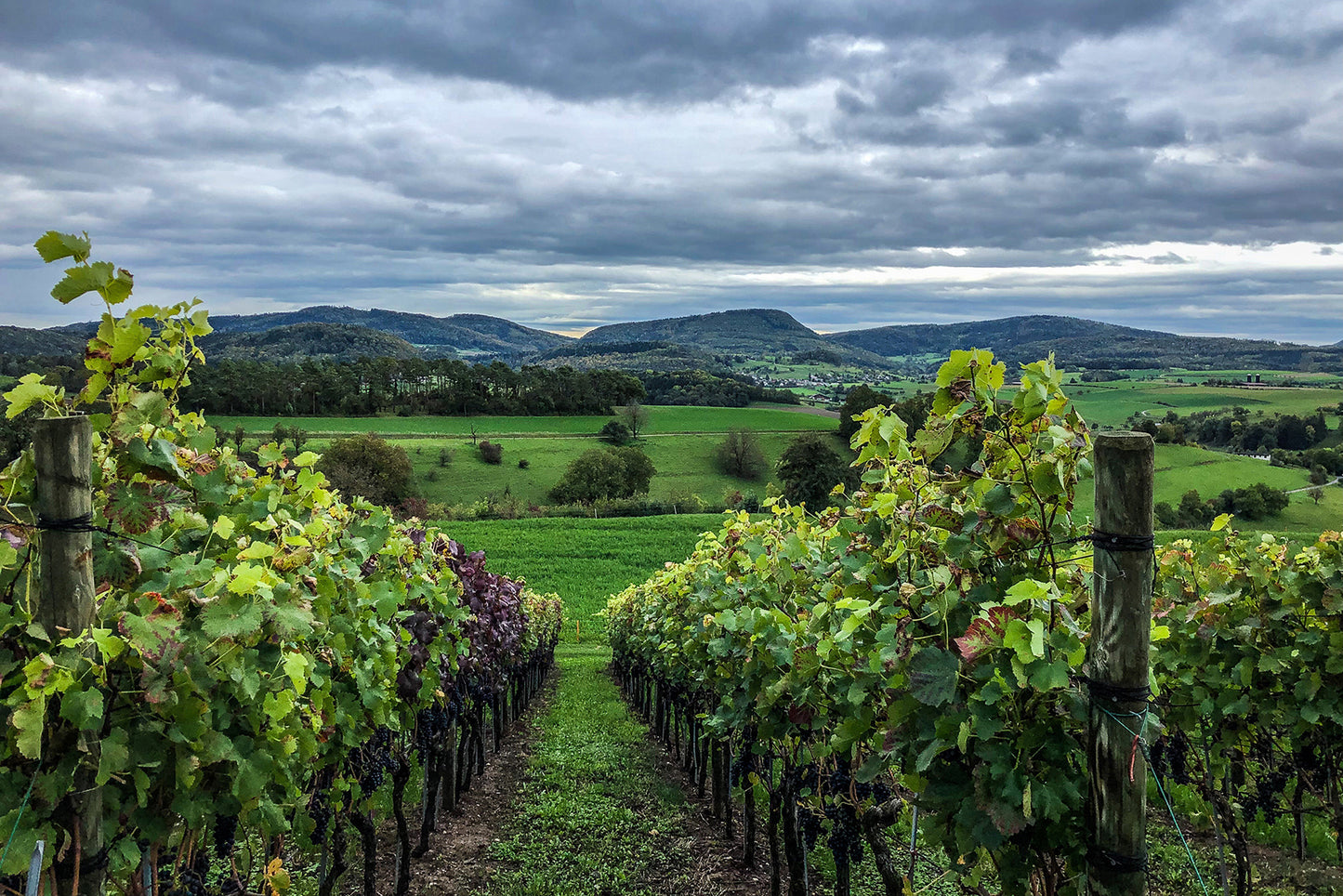 Weingut Heuberger AG